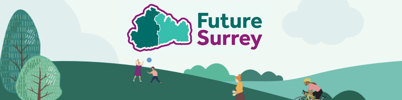 Local Government reorganisation